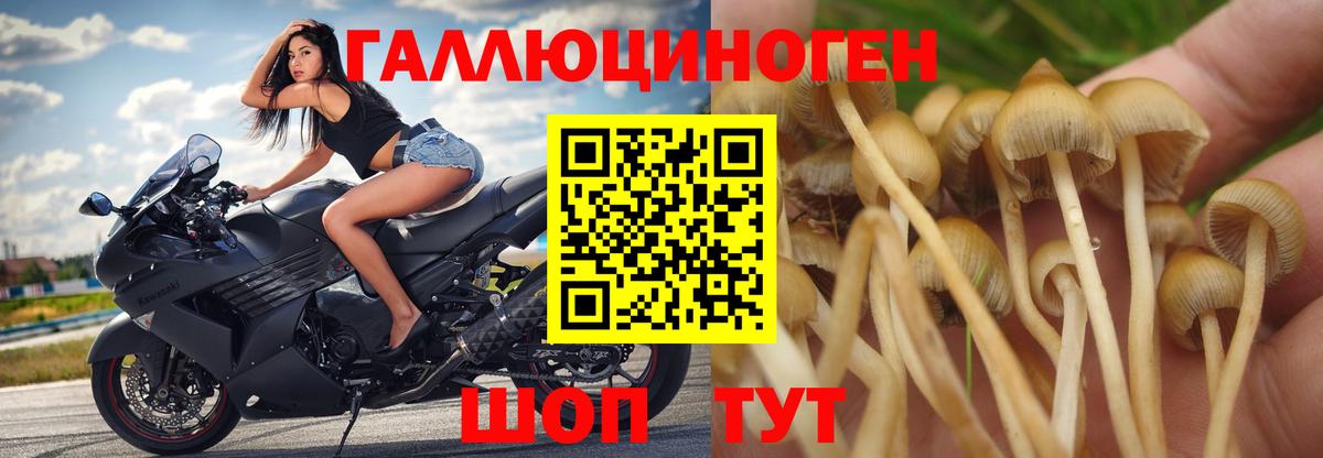 Сибай  цены наркотик  Вход с VPN  Псилоцибиновые грибы MAGIC MUSHROOMS  Галлюциногенные грибы мухоморы 